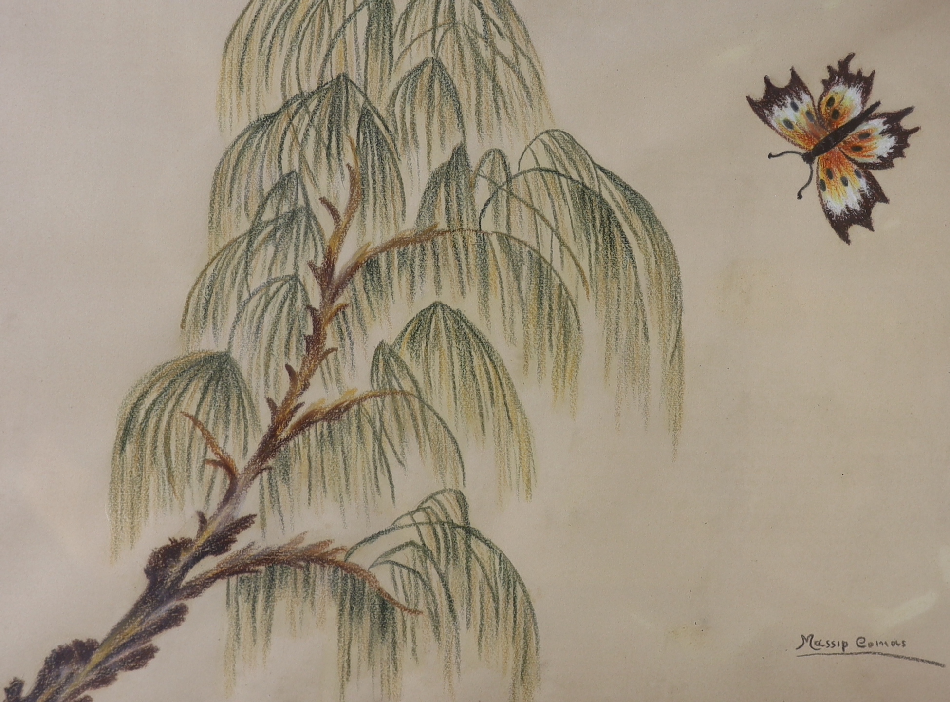 Massip Comas, 12 crayon drawings, birds and butterflies among flowers, signed, 48 x 38 cm